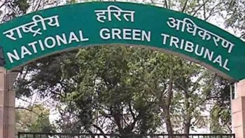 NGT Approves Hyderabad-Bijapur Highway with 765 Banyan Trees Protected