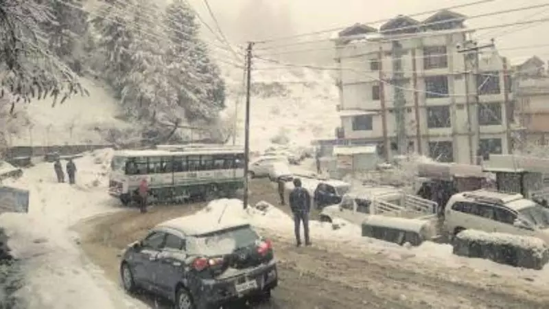 NGT Green Signal: Kufri's Mahasu Peak Trail Reopens for Horses and Tourists - Daily Access Restored!