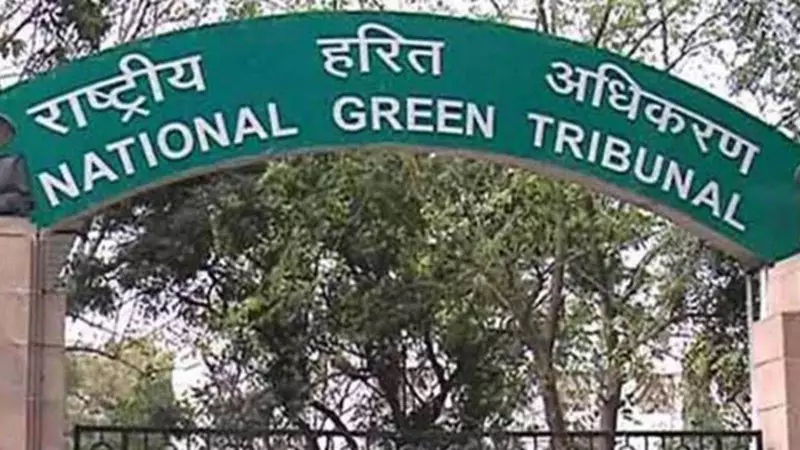 NGT Orders HP Pollution Board to File Report on Environmental Compensation