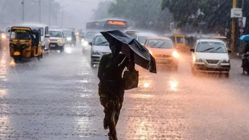 Northeast Monsoon Revives: IMD Predicts Heavy Rain in South India This Week