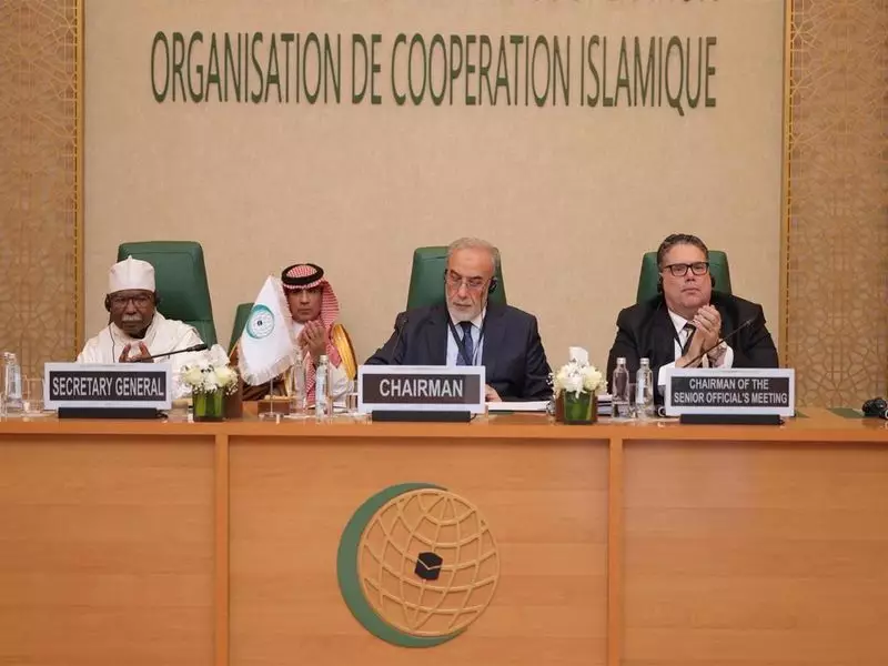 OIC Slams Israel's Somaliland Recognition as Blatant International Law Violation