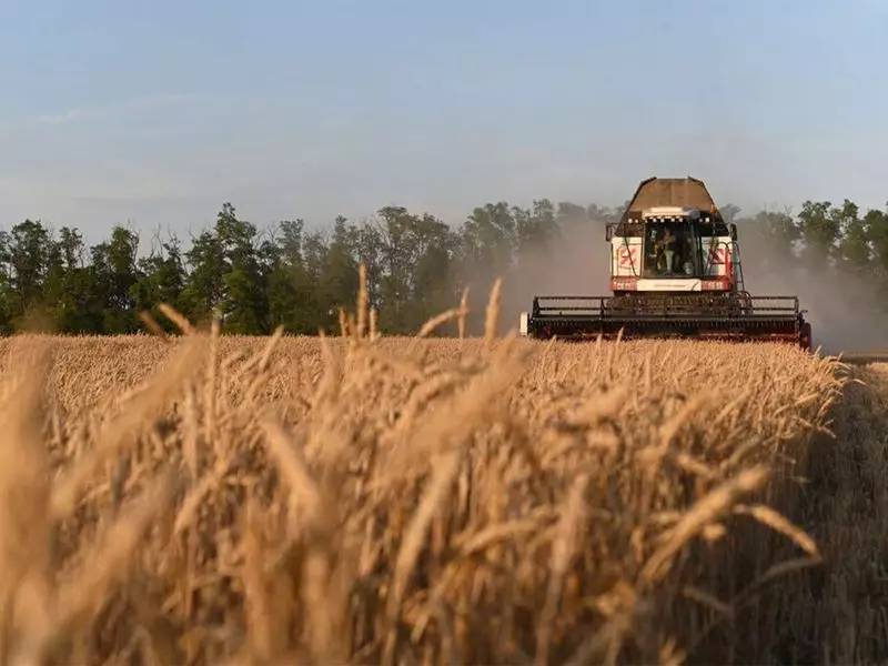 Pakistan's Agriculture Crisis Deepens as Production Costs Skyrocket