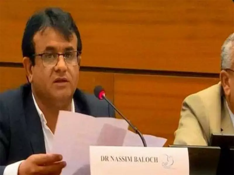 Pakistan's Airstrike on Afghanistan Sparks International Outrage: BNM Chief Condemns 'Blatant Violation of Sovereignty'