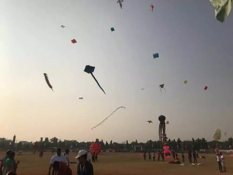 Pakistan's Punjab Lifts 20-Year Ban on Kite Flying for Basant Festival