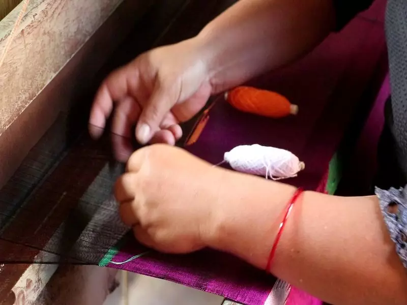 Palpali Dhaka: Nepal's Heritage Fabric Weaves Through Modern Times