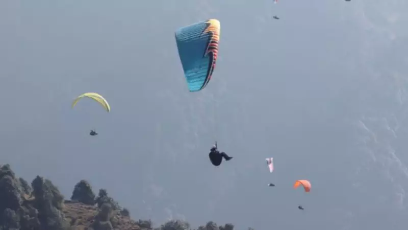 Paragliding Pilot Narrowly Escapes Death in Terrifying Shimla Crash During Tourism Festival