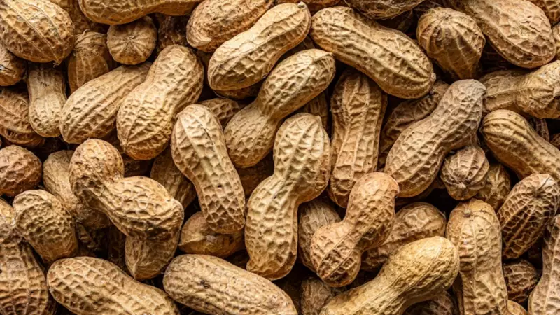 Peanut Allergies Unmasked: The Hidden Triggers and Prevention Strategies You Need to Know
