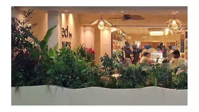 Plant Renting Revolution: Bengaluru's Workspaces Go Green with Flexible Flora