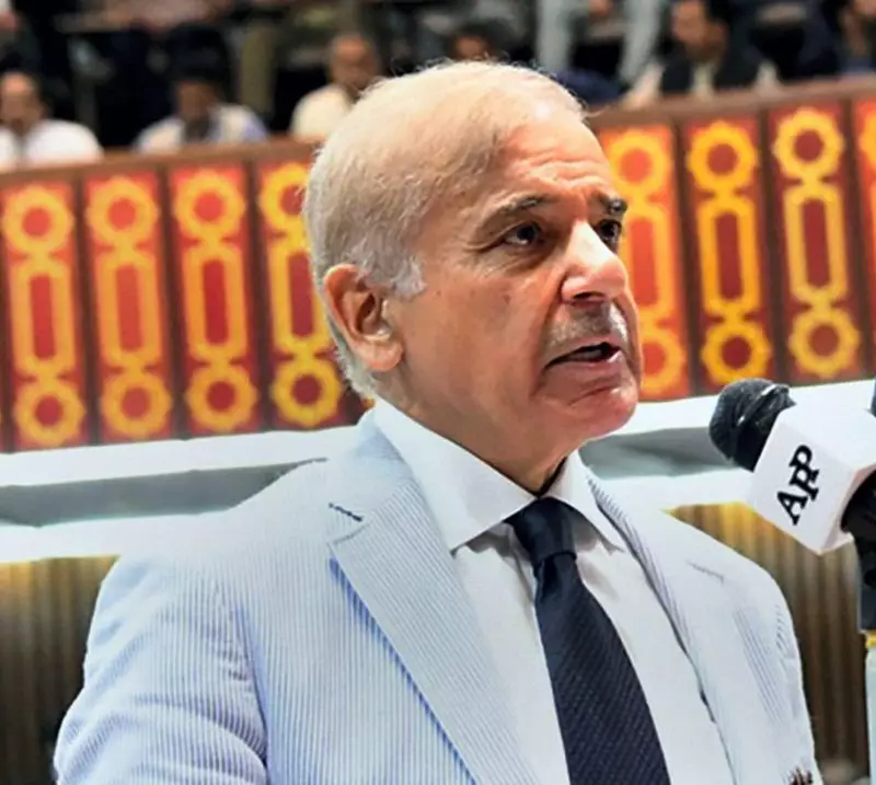 PM Shehbaz Sharif to Honour Pakistan U-19 Cricket Team After World Cup Win