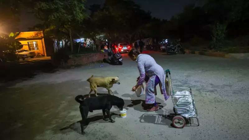 PMC Revises Stray Dog Plan After SC Order, Feeders Seek Humane Solution