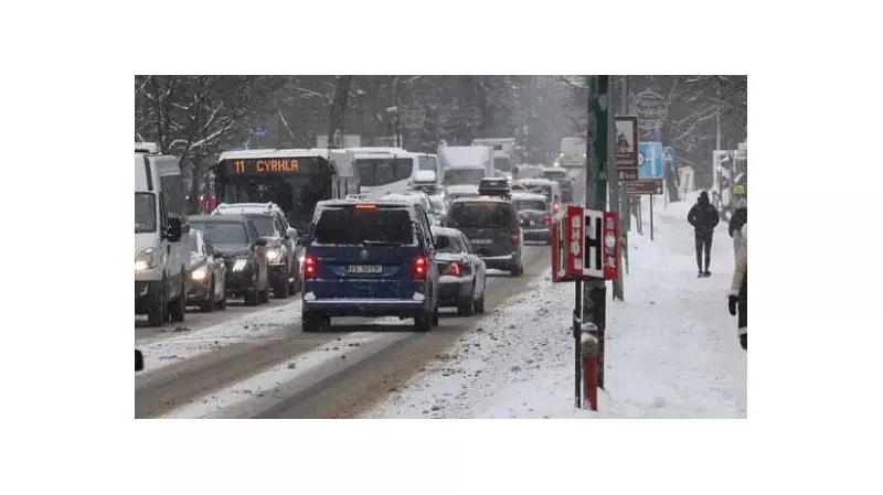 Poland Snow Chaos: Drivers Stranded in 20-Km Tailbacks on S7 Route