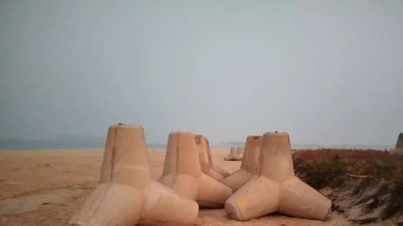 Port Construction Halts Olive Ridley Turtle Nesting at Honnavar's Kasarkod Tonka Beach