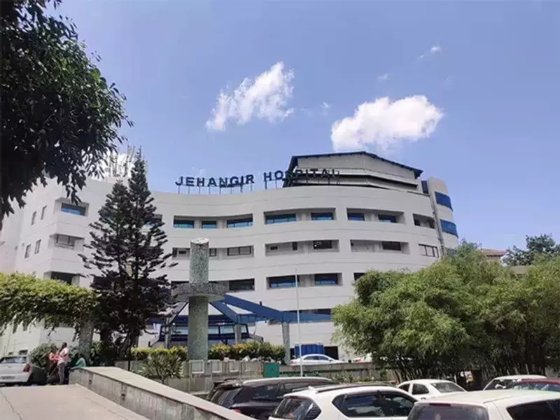 Pune Arts & Health Festival Concludes, Showcasing Creativity's Role in Wellness