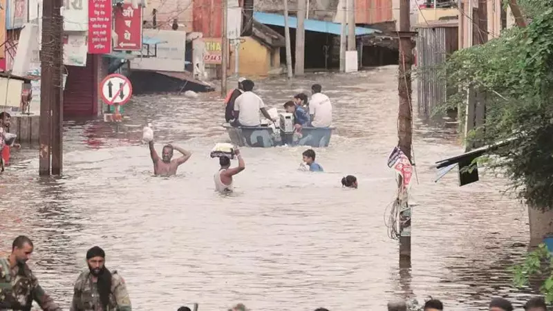 Pune Fights Floods with Sponge Gardens: Nature's Solution to Waterlogging