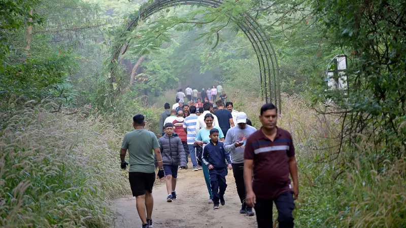 Pune Records Above-Normal Winter Temperatures at 12.9°C; IMD Explains Warm Spell