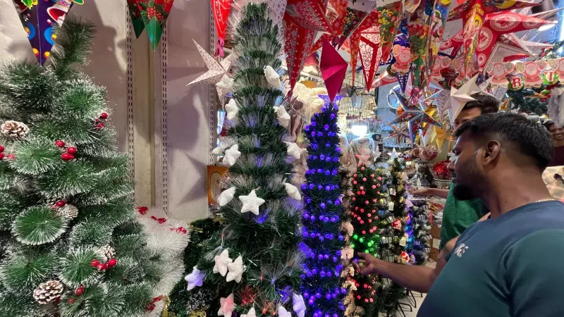 Pune's Christmas Tree Market 2025: Sustainability, Tradition Drive Evolving Festive Trends