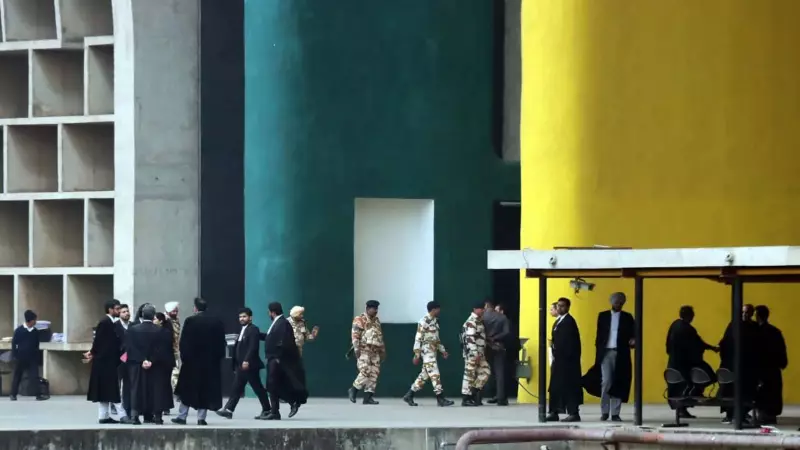 Punjab & Haryana HC Doubles Compensation to Rs 24 Lakh in 2016 Road Accident Death Case