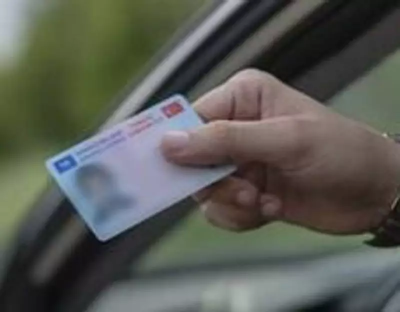 Punjab & Haryana HC: Driving Licence Valid 30 Days Post-Expiry, Accident Cover Included