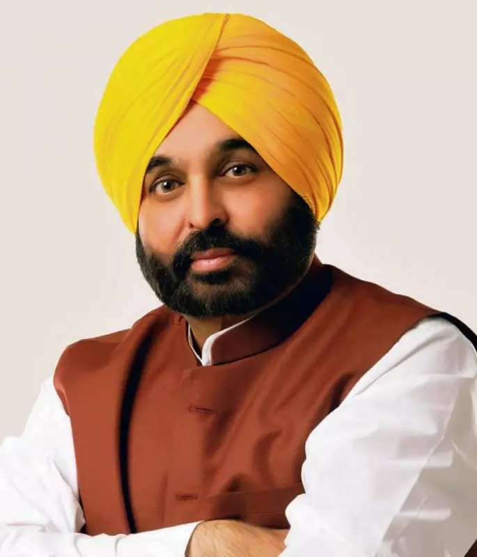 Punjab Education Revolution: 118 Schools of Excellence to Transform State's Academic Landscape