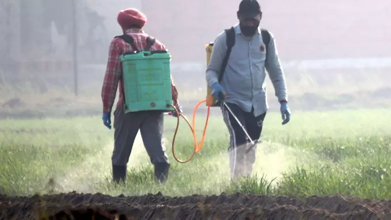 Punjab MGNREGS Staff Unpaid for 3-6 Months Amid VB-G RAM G Act Row