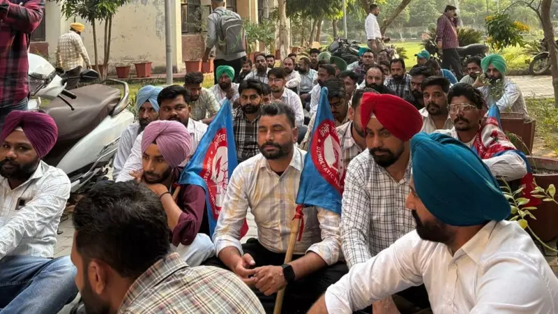 Punjab Teachers Win Battle Against Stubble Burning Duties - Ferozepur Order Withdrawn!