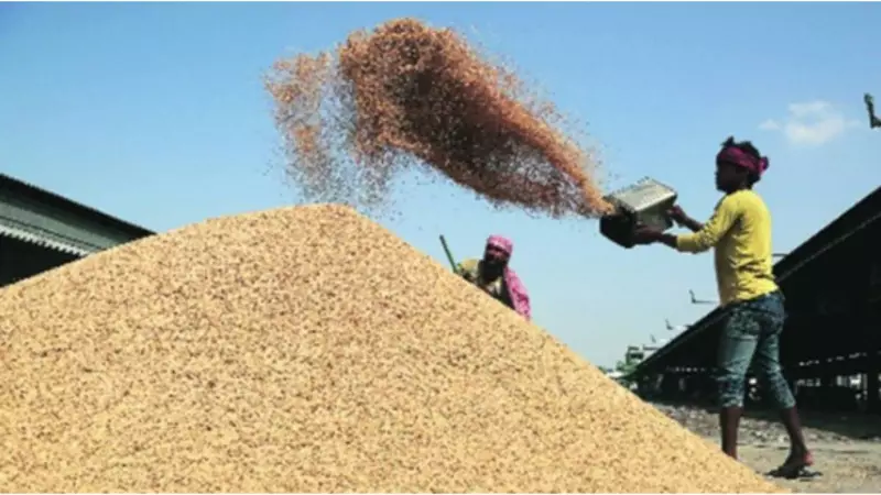 Punjab's Exports Face Global Headwinds: Tariff Shocks & Narrow Markets Strain Growth