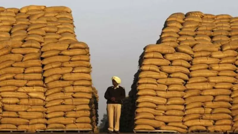 Punjab's Free Atta-Dal Scheme Gets Major Overhaul: 11 Lakh Ineligible Beneficiaries Removed