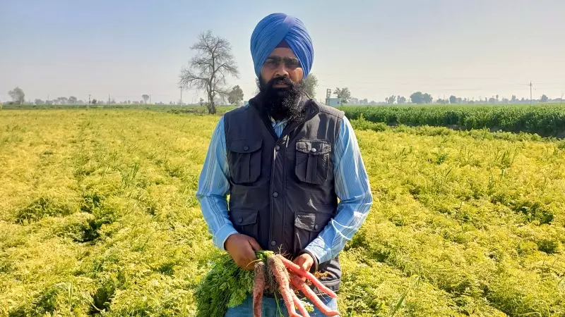 Punjab's Progressive Farmer Earns Millions Year-Round by Ditching Paddy-Wheat Cycle