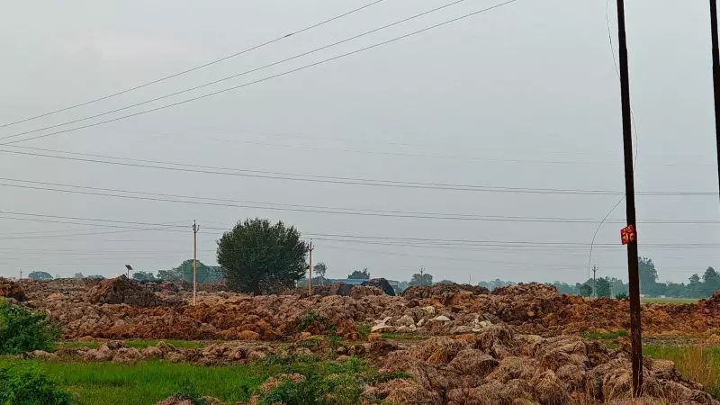 Punjab's Sand Paradox: Fields Overflow While Riverbeds Boom Amid Construction Slump