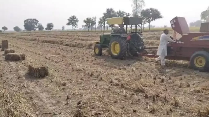 Punjab's Soil Revival: How In-Situ Paddy Stubble Management Outperforms Ex-Situ Methods
