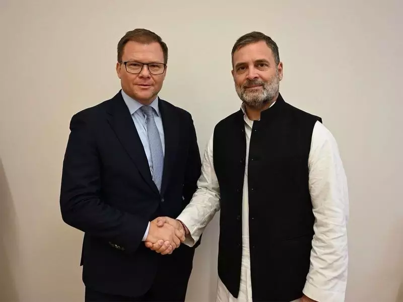 Rahul Gandhi Meets German Minister, Discusses Global Climate Crisis