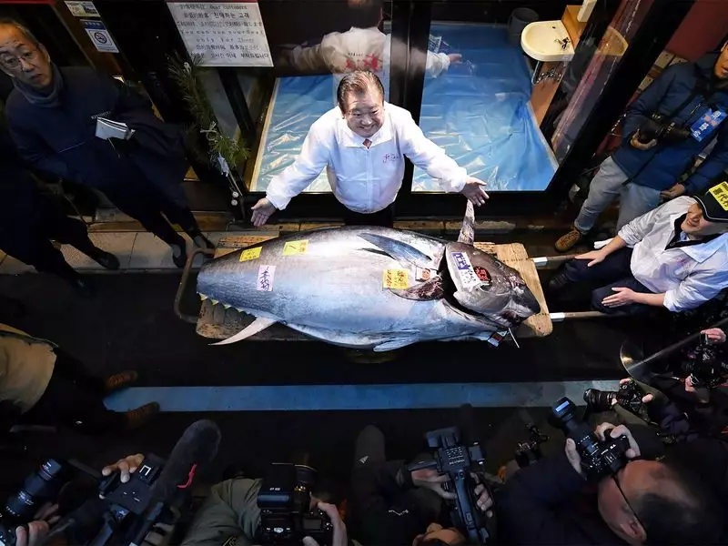 Record $3.2 Million Paid for Bluefin Tuna at Tokyo's New Year Fish Auction