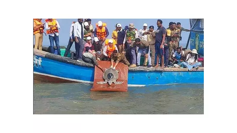 Rescued Olive Ridley Turtle Returns to Sea After 3 Months of Treatment