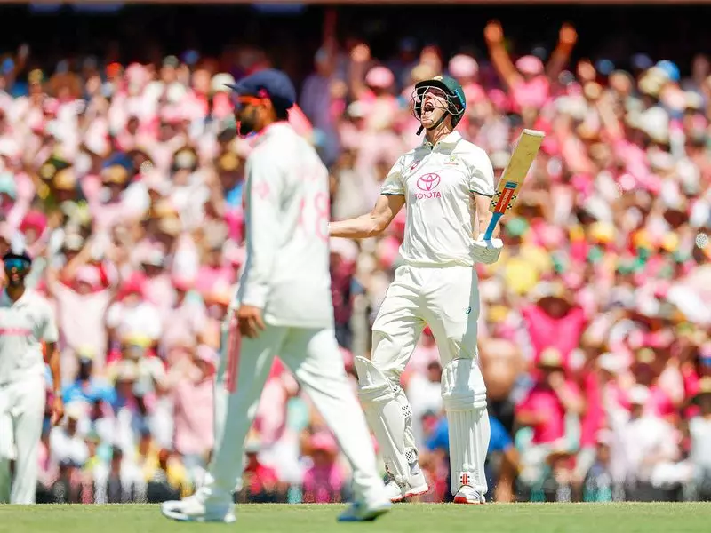 Ricky Ponting Calls Beau Webster 'Unfortunate Player' of Australian Summer