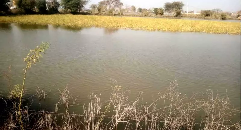 Rohtak's Waterlogged Fields Await Relief: ₹1,200 Crore Drainage Projects Offer Hope