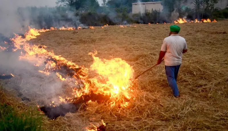 Ropar Makes History: Zero Stubble Burning Cases Recorded This Harvest Season
