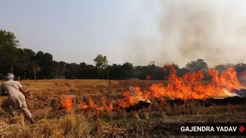 Sangrur DC Issues Stern Warning: Stop Stubble Burning or Face Strict Action