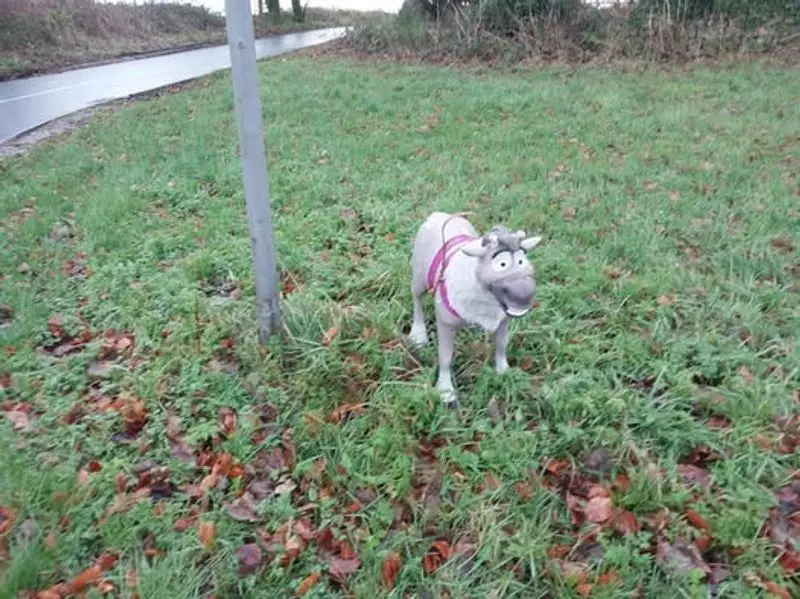 Santa's Reindeer Pranks UK Authorities in Festive Flying Incident