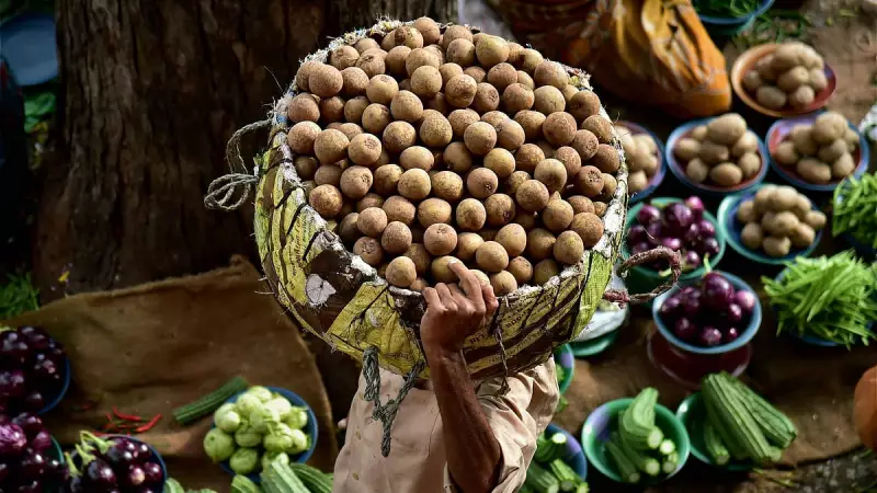 Sapota: Bengaluru's Secret Weapon Against Climate Change Revealed!