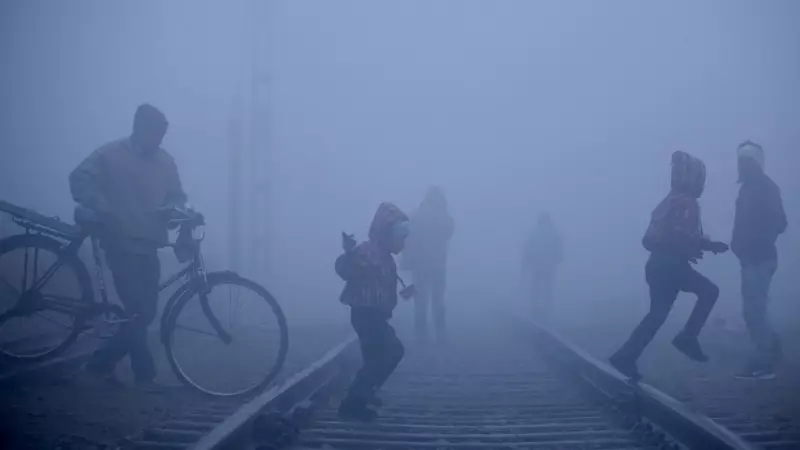 SC Slams CAQM for Delay on Delhi Pollution, Demands Action Plan in 2 Weeks