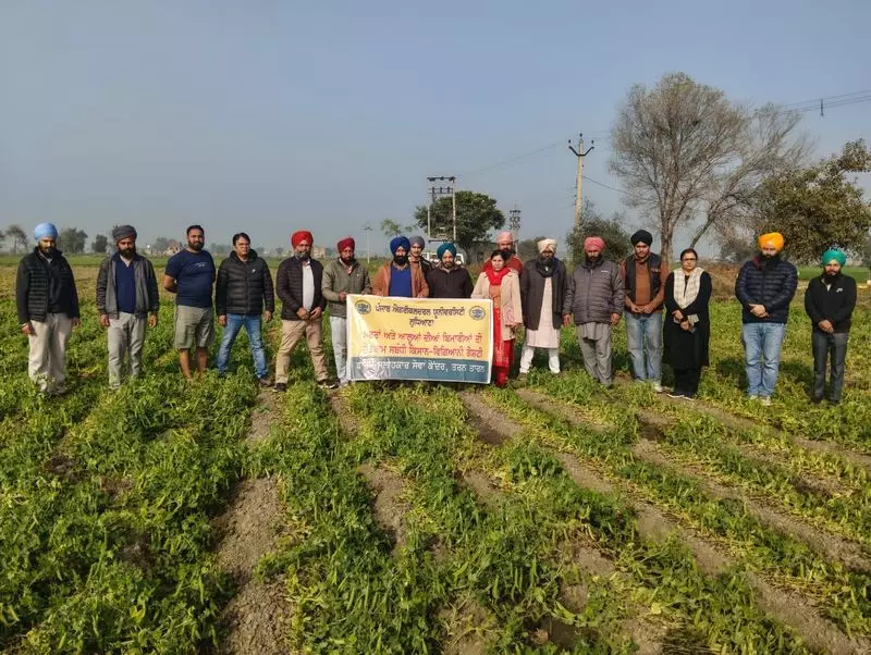 Scientists Tackle Pea & Potato Diseases in Amritsar Workshop