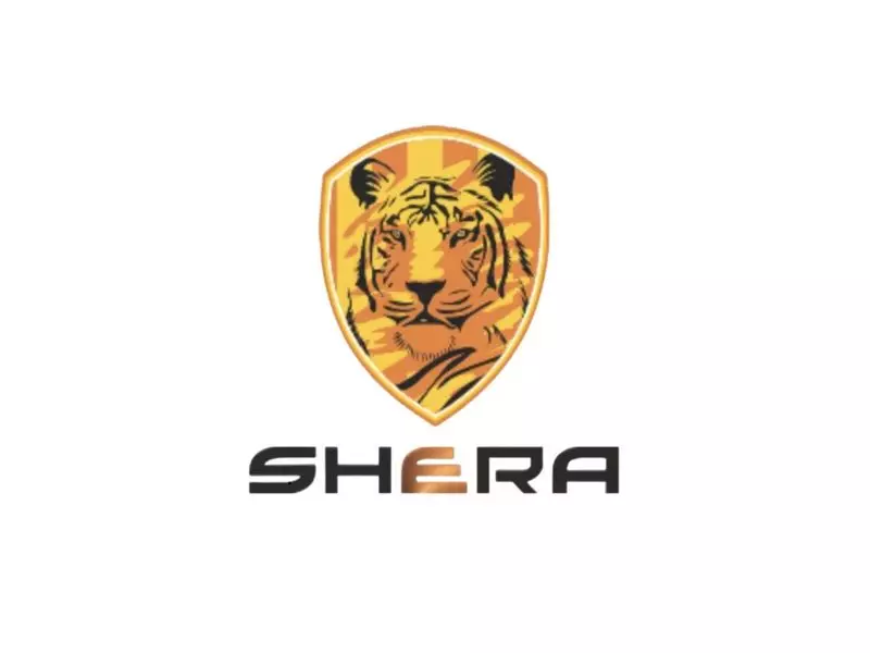 Shree Rama Multi-Tech Soars 20% After ₹1,200 Crore Order Win