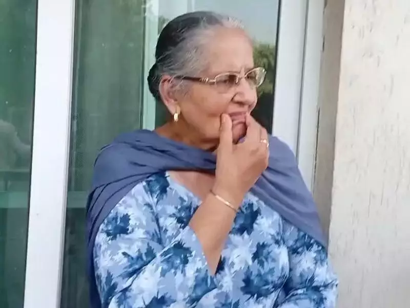 Sikh Woman Harjit Kaur's US Detention: Jaishankar Confirms Mistreatment, Denies Handcuffing