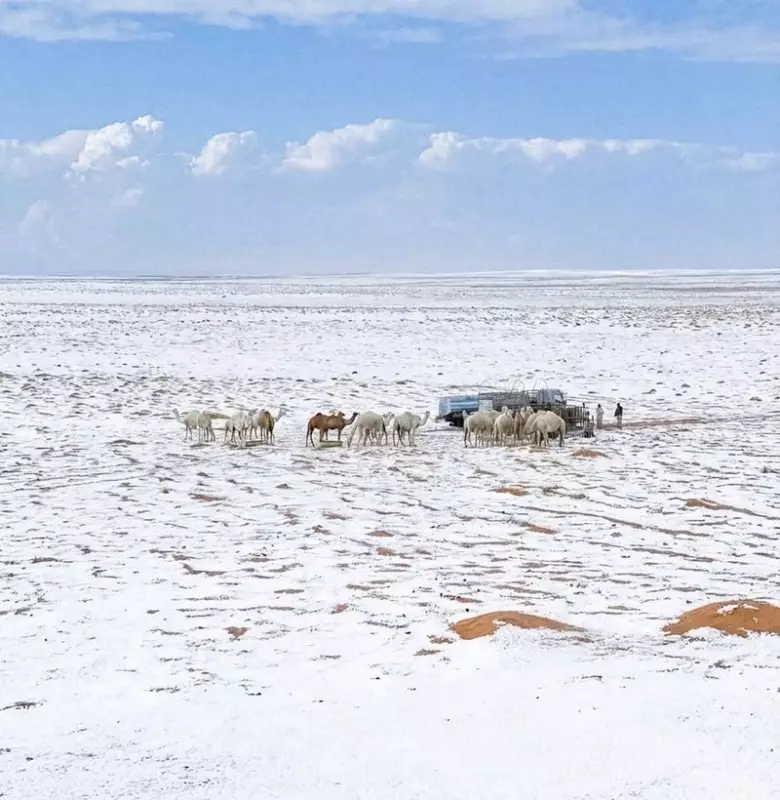 Snow in Saudi Arabia: Rare Desert Winter Blankets Tabuk Region