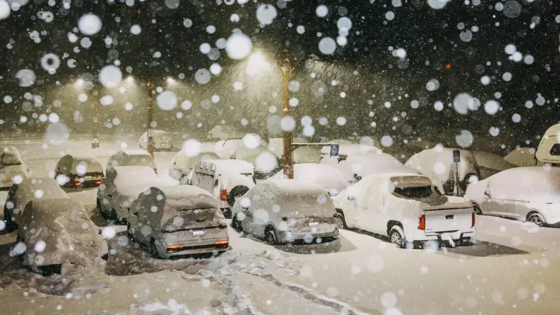 Snowstorm Disrupts Holiday Travel: Over 800 Flights Cancelled at New York Airports