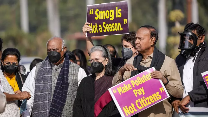 Sonia Gandhi Urges Action on Delhi Air Pollution, Says 'Old People Like Me' Suffer