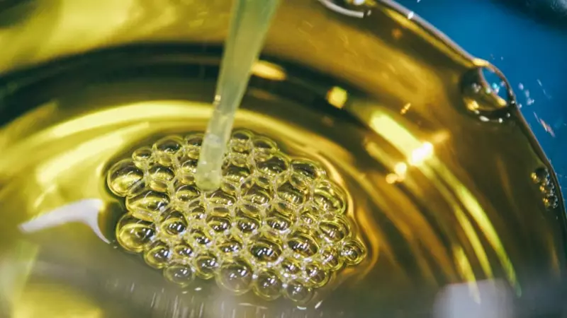 Study Links Top Cooking Oils to Obesity Risk in India