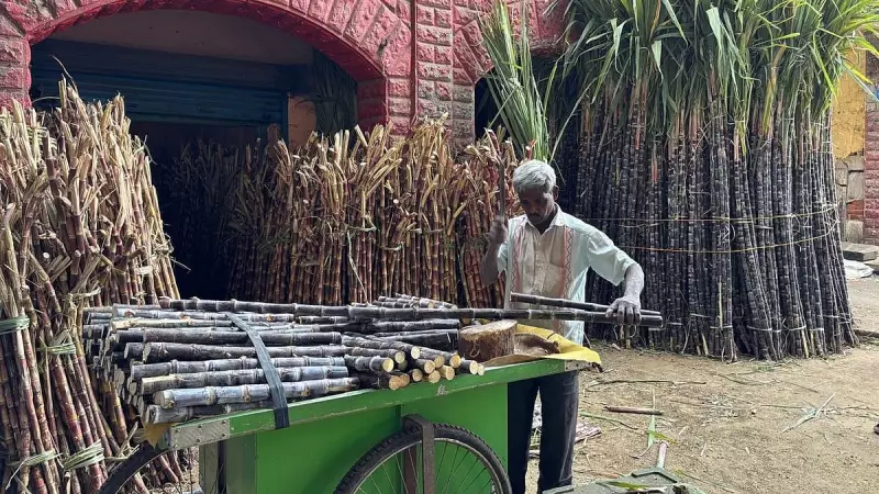 Sugarcane Prices Set to Spike in Bengaluru Ahead of Sankranti Festival