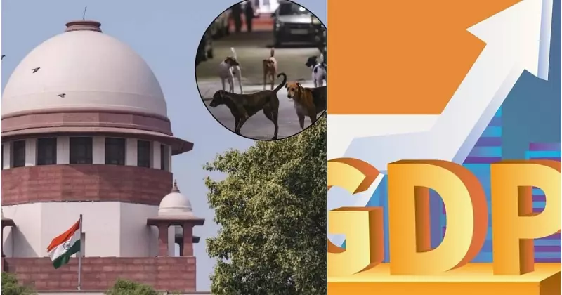 Supreme Court Directs Streets Be Free of Stray Dogs, India's FY26 GDP Growth Pegged at 7.4%