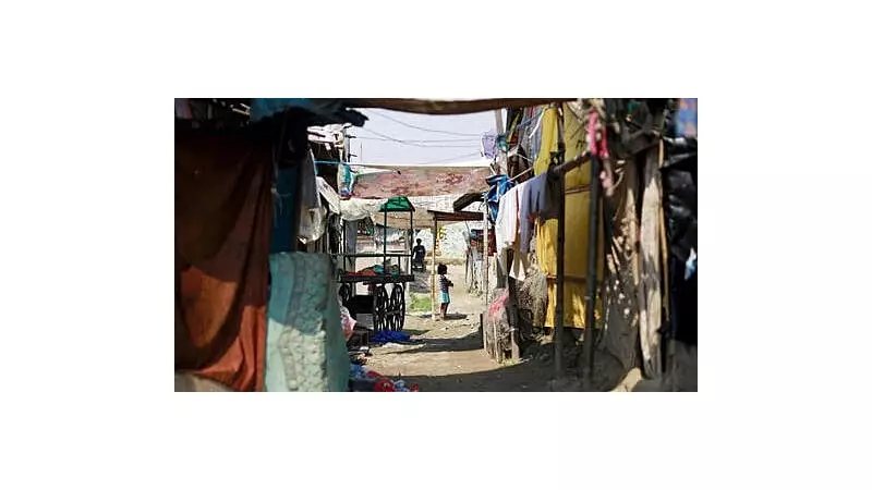 Supreme Court Gives Centre 2 Weeks to Reply on Rohingya Custodial Disappearance Plea